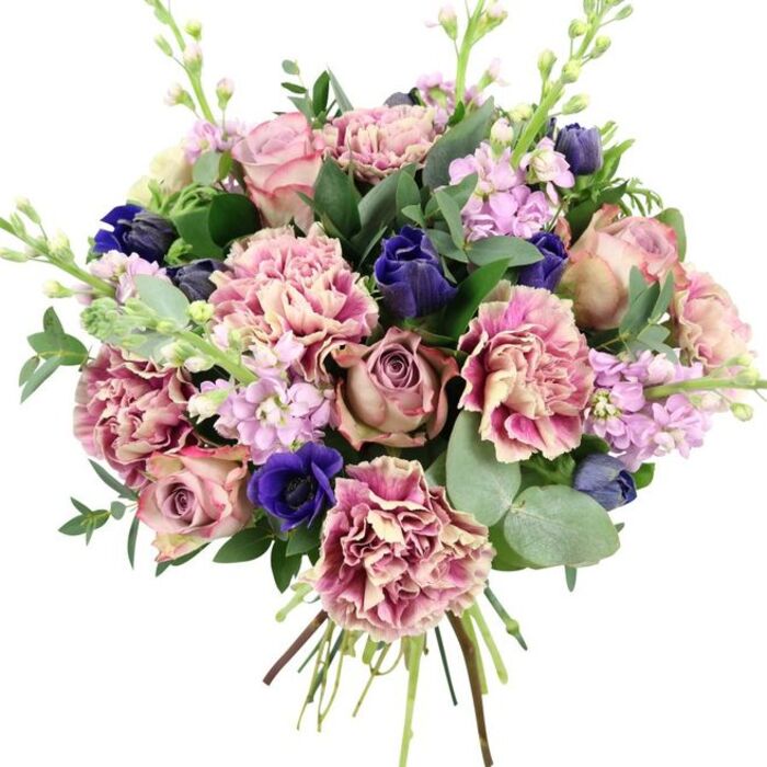 Photographed against a clean white backdrop, this exquisite bouquet showcases a harmonious blend of colour and form, evoking the calm elegance of a Bracknell Forest garden in late spring. In the centre, full-headed garden roses in tones of blush pink, dusty mauve, and antique rose open luxuriously, each petal layered in a soft spiral, creating a sense of depth and timeless romance. Around them, ruffled carnations contribute generous volume; their petals start in a creamy blush at the heart and gradually deepen to rosy, fuchsia, and plum edges, providing a lush, feathery texture that softens the whole arrangement. Deep indigo blossoms, some tightly furled like tulip-shaped buds, sit amidst the pinks, while a standout royal blue anemone with a dark, nearly black centre occupies a prominent place near the lower front, adding a dramatic note that captures attention immediately. Towering lightly above and between the larger blooms, spires of pale lilac and lavender stock create vertical lines, each stem adorned with many tiny flowers that hint at delicate fragrance, not unlike the scented flower beds in local parks around Bracknell Forest. The bouquet is richly framed by foliage: dark green rose leaves lend structure and weight, while rounded, silvery eucalyptus leaves introduce cooler tones and a soft, matt texture, suggesting a fresh, calming aroma. The stems are neatly bound and left visible at the base, emphasizing the hand-tied, freshly assembled nature of the design, ready to be placed into water on a dining table. With its romantic palette of pinks, purples, blues, and greens, this bouquet suits anniversaries, special congratulations, or a thoughtful gesture to brighten a home anywhere in Bracknell Forest.