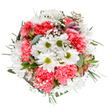 This bouquet, inspired by the serene landscapes and woodlands of Bracknell Forest, blends celebratory vibrancy with soothing natural detail. The centre is defined by pristine daisies with vibrant green eyes, radiating positivity much like the open meadows of Swinley Forest on a sunny morning. Plush coral-pink carnations surround the daisies, their soft, layered petals creating a cocoon of inviting warmth. Clouds of baby's breath are scattered throughout, imbuing the composition with airiness and a whisper of countryside magic. Among the greenery, delicate alstroemeria buds hint at the artistry of local florists, their gentle purple and pink accents foreshadowing blooms yet to grace the display. The bouquet's foliage-matte silver eucalyptus and shades of deep green-adds a modern finish, cradling the flowers in harmonious balance. Set against a pure white background, this design shines for birthdays, thank-yous, or simply to deliver a sense of joy and renewal to homes across Bracknell Forest, from North Ascot to Winkfield Row, echoing the heartfelt skill and seasonal freshness that local floral artisans are proud to share.